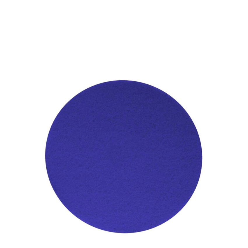 FLOOR MAINT PAD 17 inch BLUE 1x5