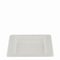 16cm SQUARE BAGASSE PLATE 1x500