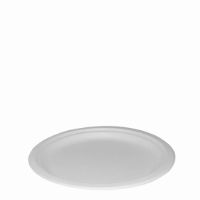 10inch BAGASSE PAPER PLATE   1x500