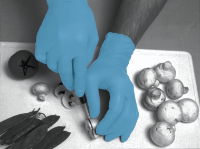 GLOVE NITRILE BLUE POSDER FREE (large) 1 x 10 x 100 (case)