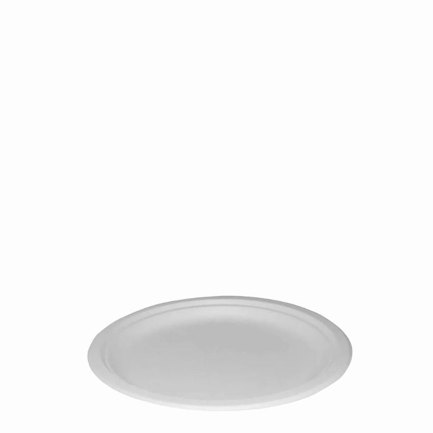 7inch BAGASSE PAPER PLATE   1x1000