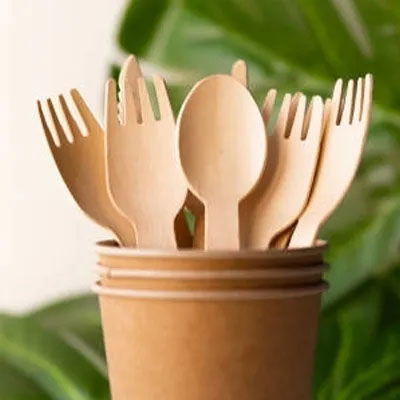 DISPOSABLE CUTLERY