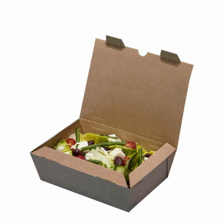 LARGE BIOFLUTE MEALBOX 185x140x60mm   1x210