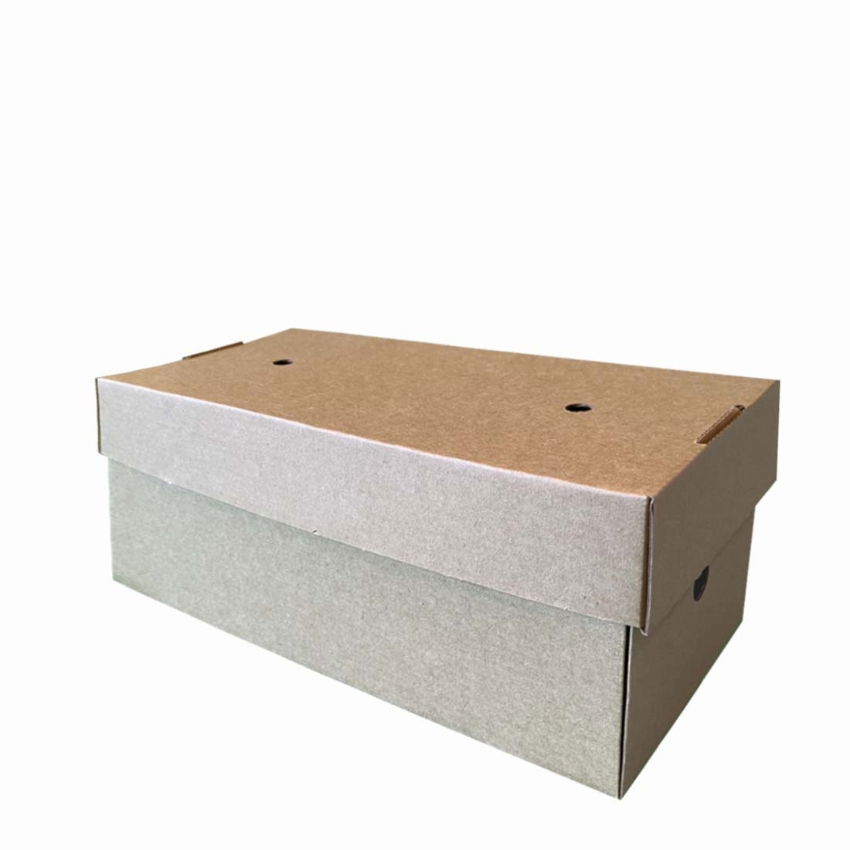 BURGER BOX LARGE PREMIUM  244x122x102mm 1x100